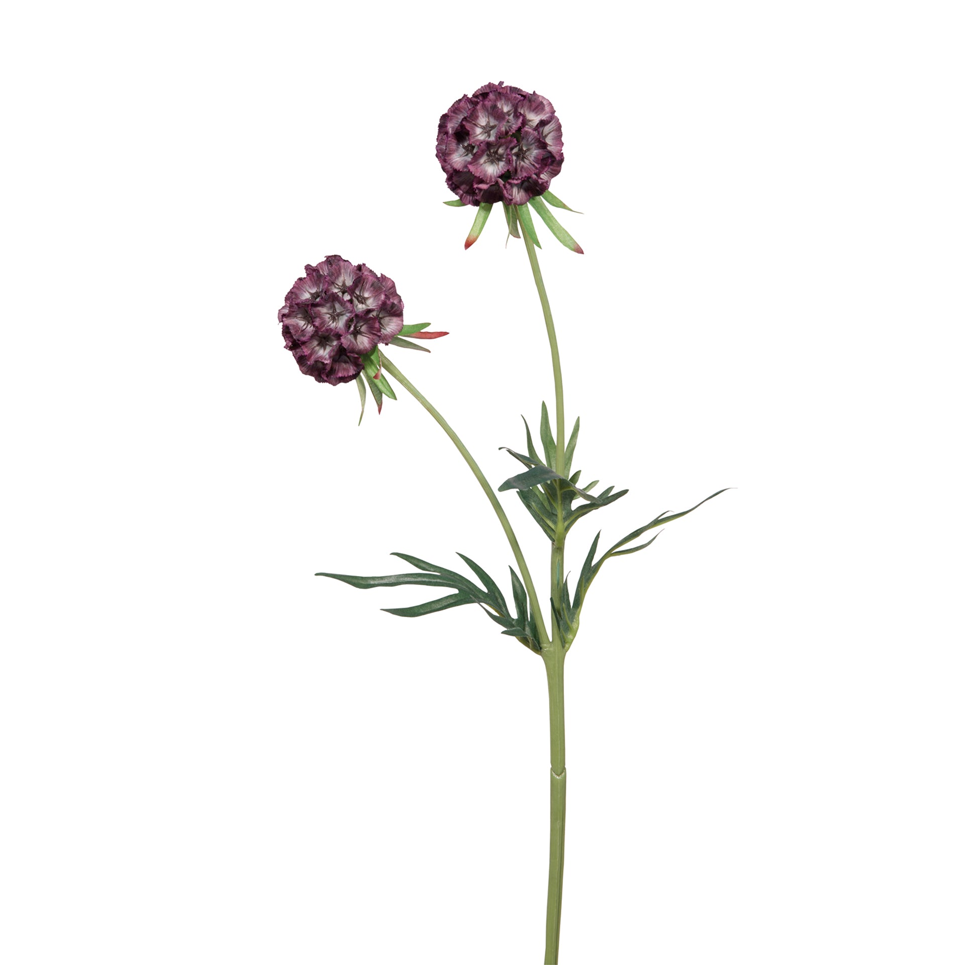 SCABIOSA Kunstblume lila