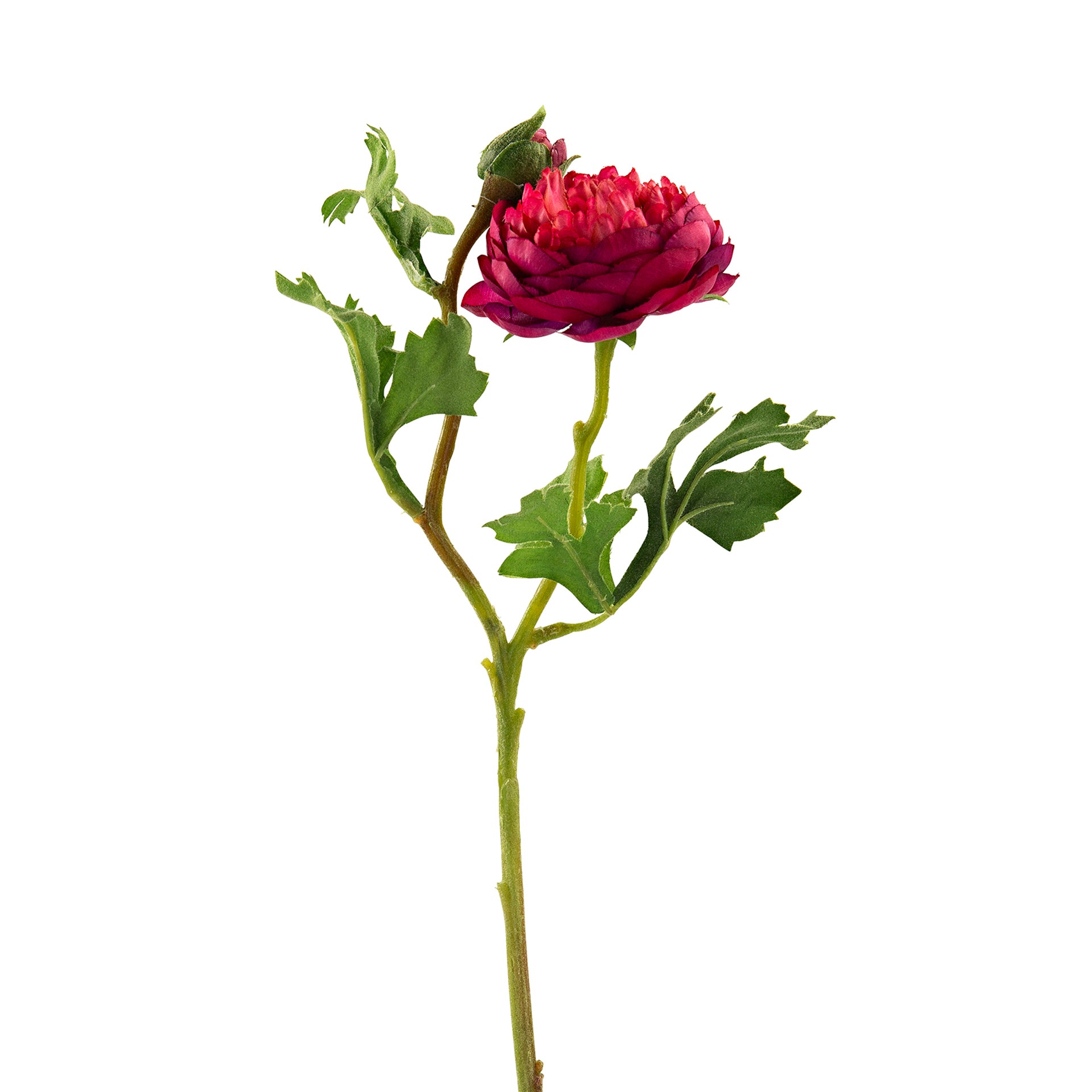 RANUNKEL Kunstblume amaranth