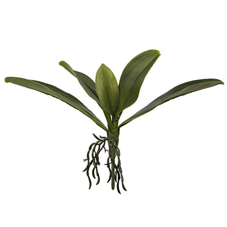 ORCHIDEENBLÄTTER Kunstblume grün