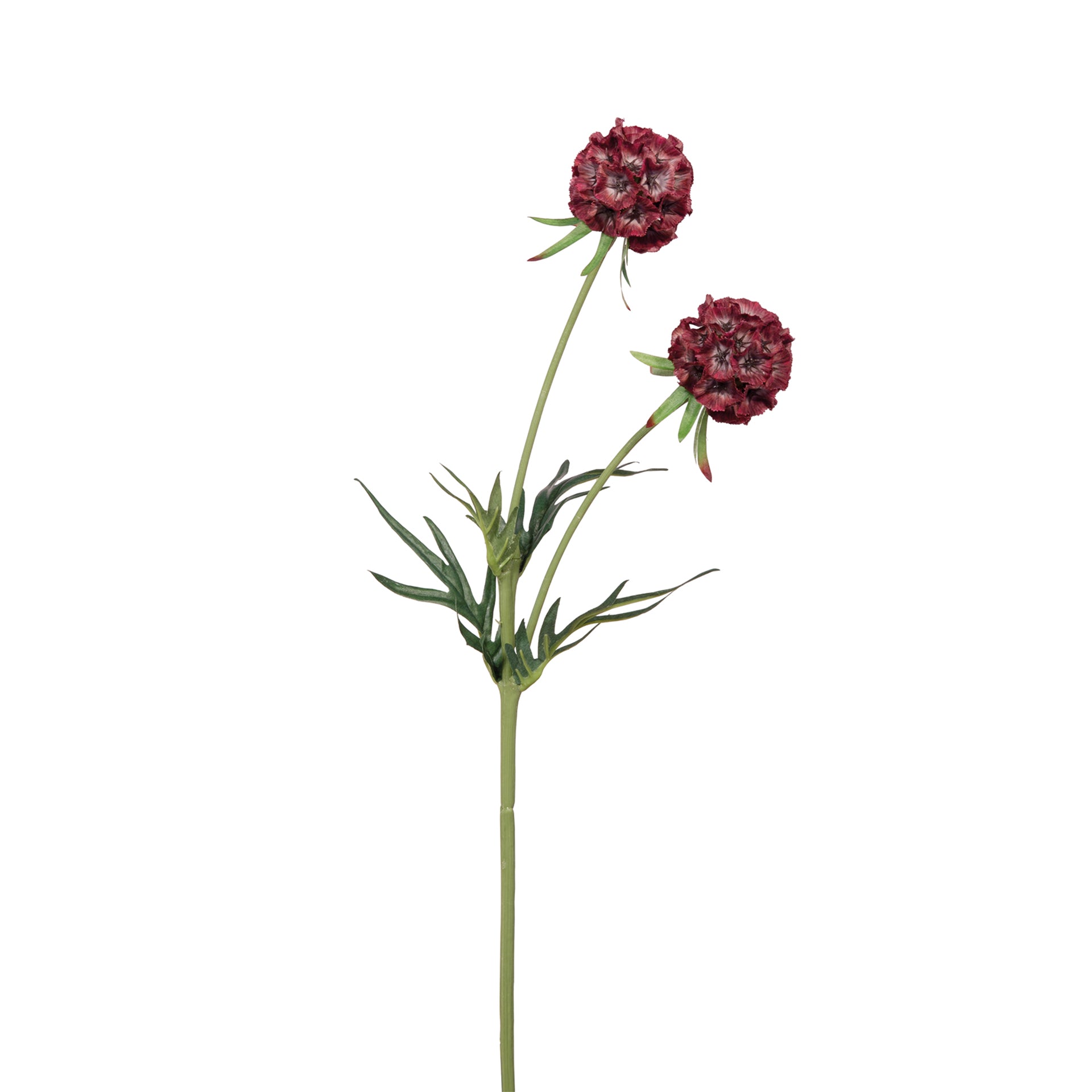 SCABIOSA Kunstblume dunkelrot