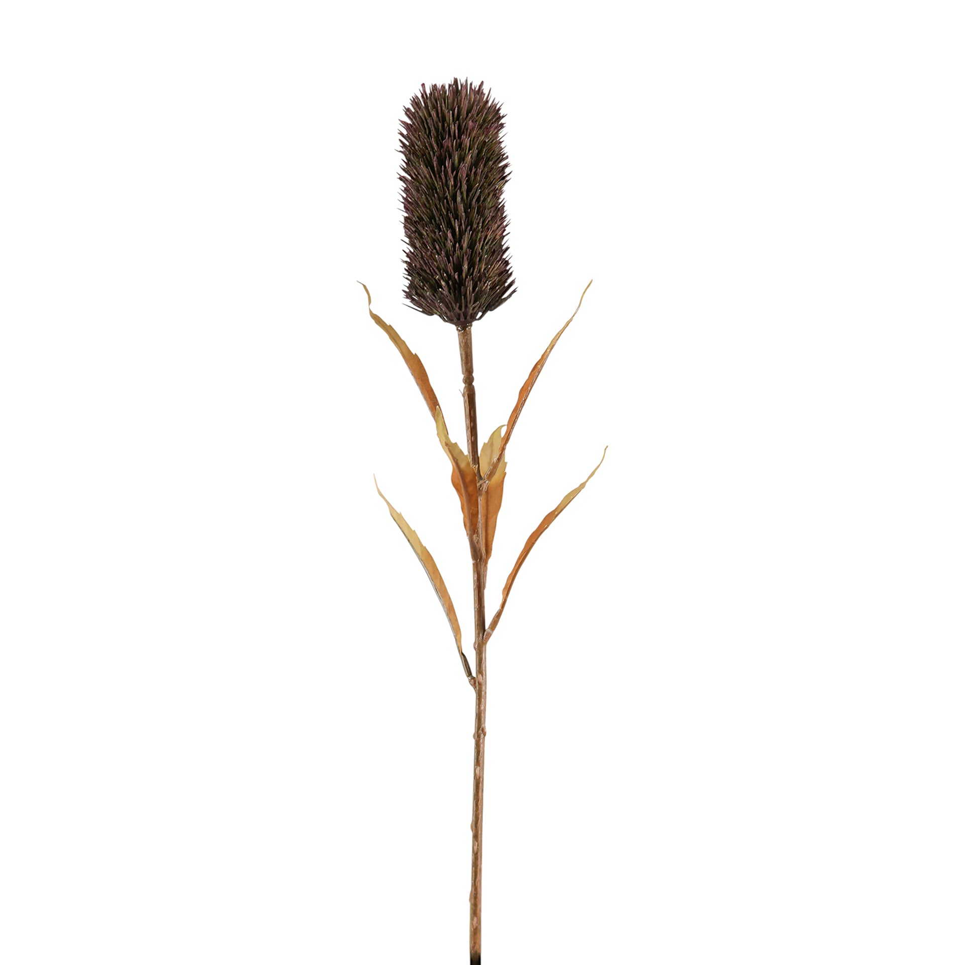 SCHILFKOLBEN Kunstblume braun