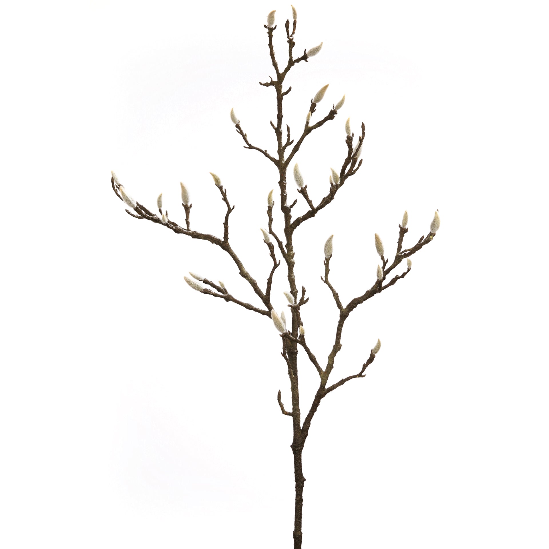 MAGNOLIENKNOSPENZWEIG Kunstblume dunkelbraun