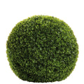 BUXUS Buchskugel grün