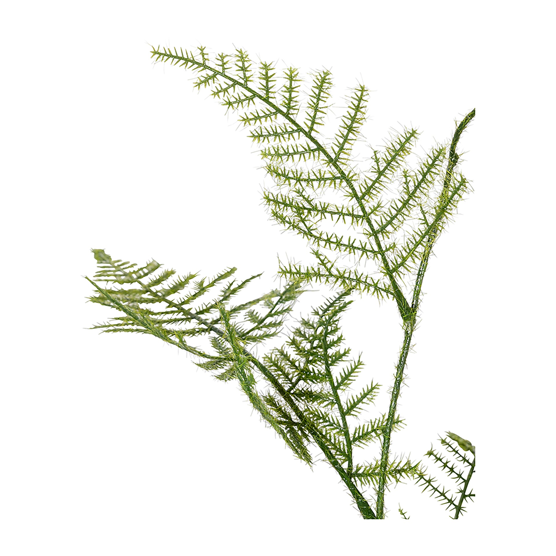 ASPARAGUS Kunstblume grün