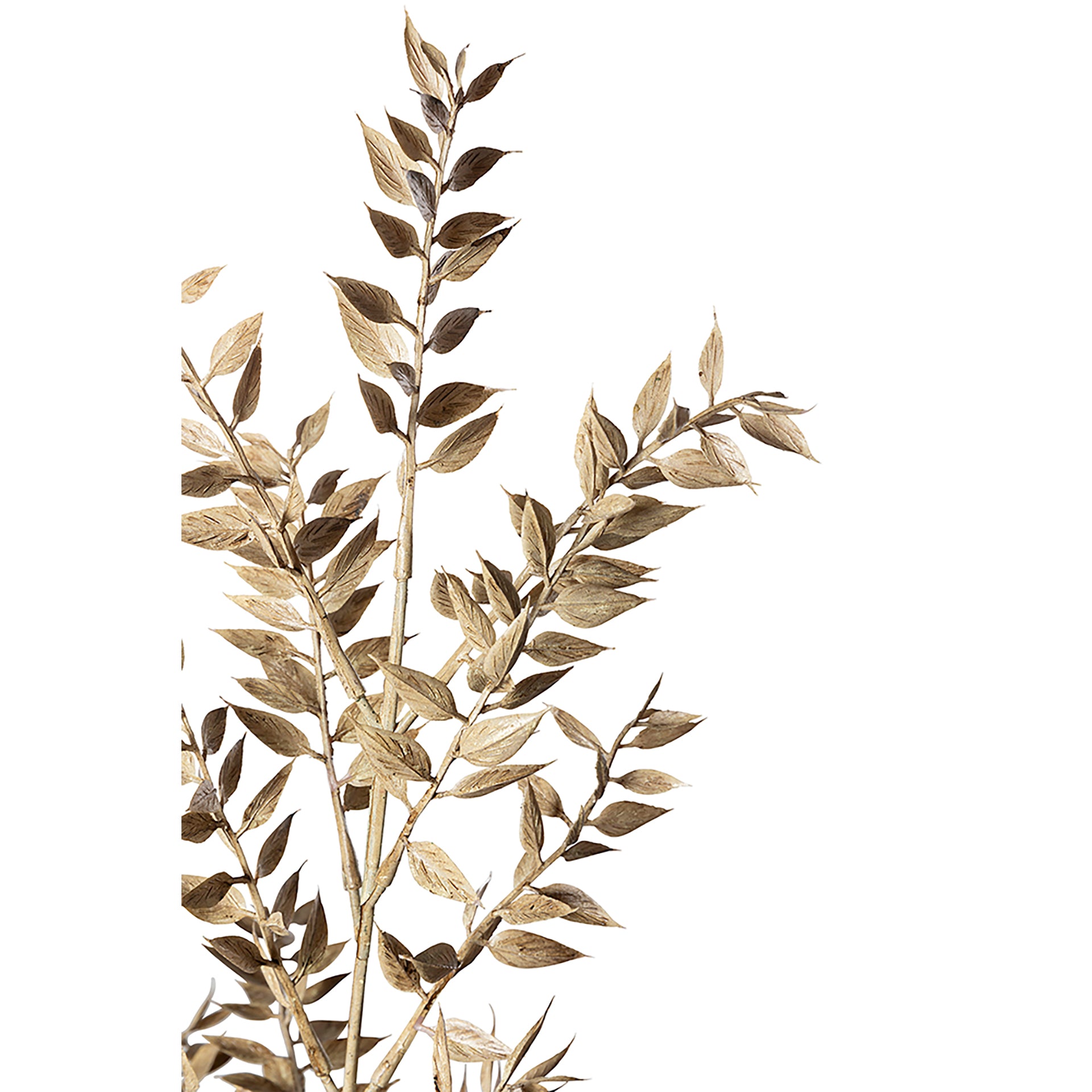 RUSCUS Kunstblume braun