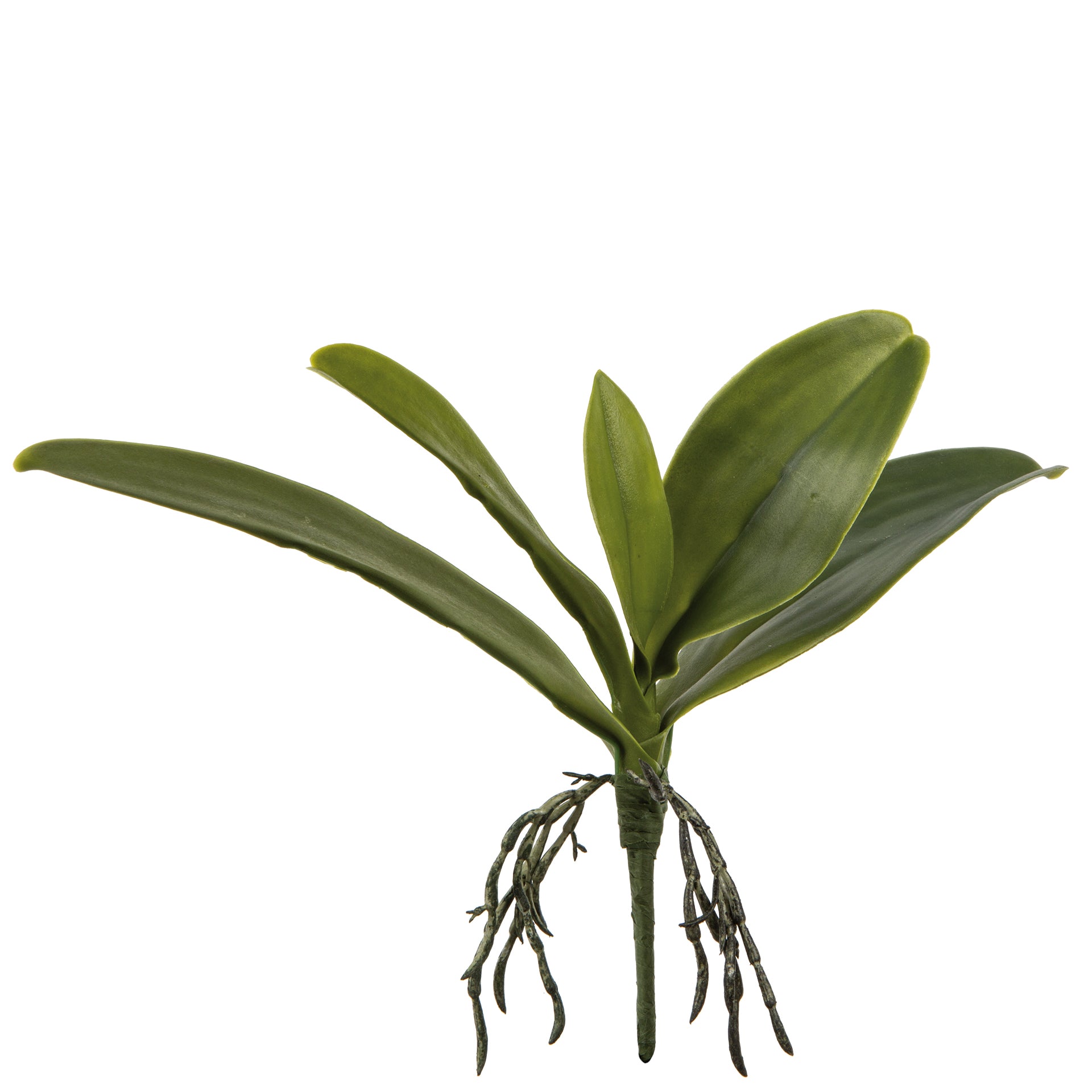 ORCHIDEENBLÄTTER Kunstblume dunkelgrün