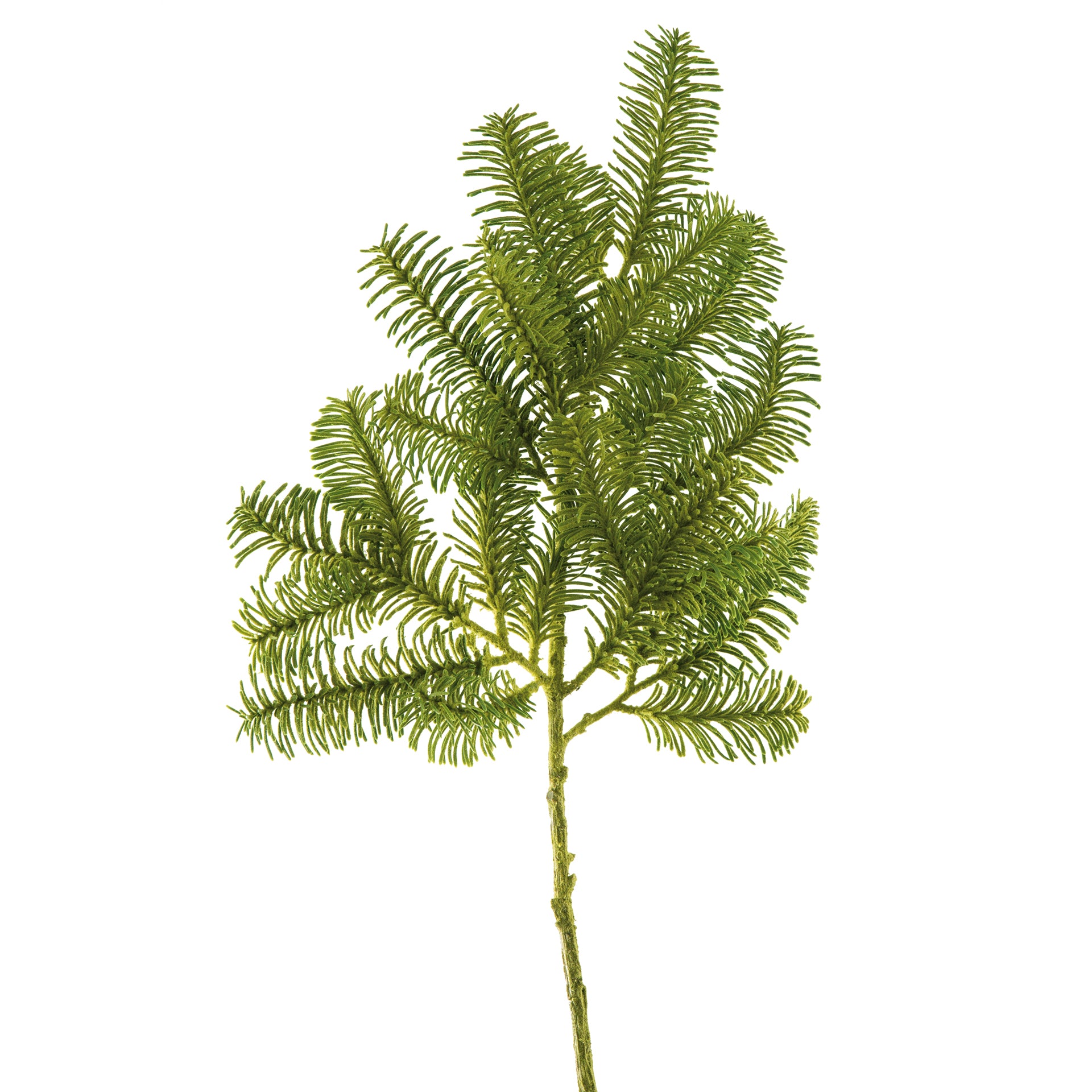 TANNENZWEIG Kunstblume grün