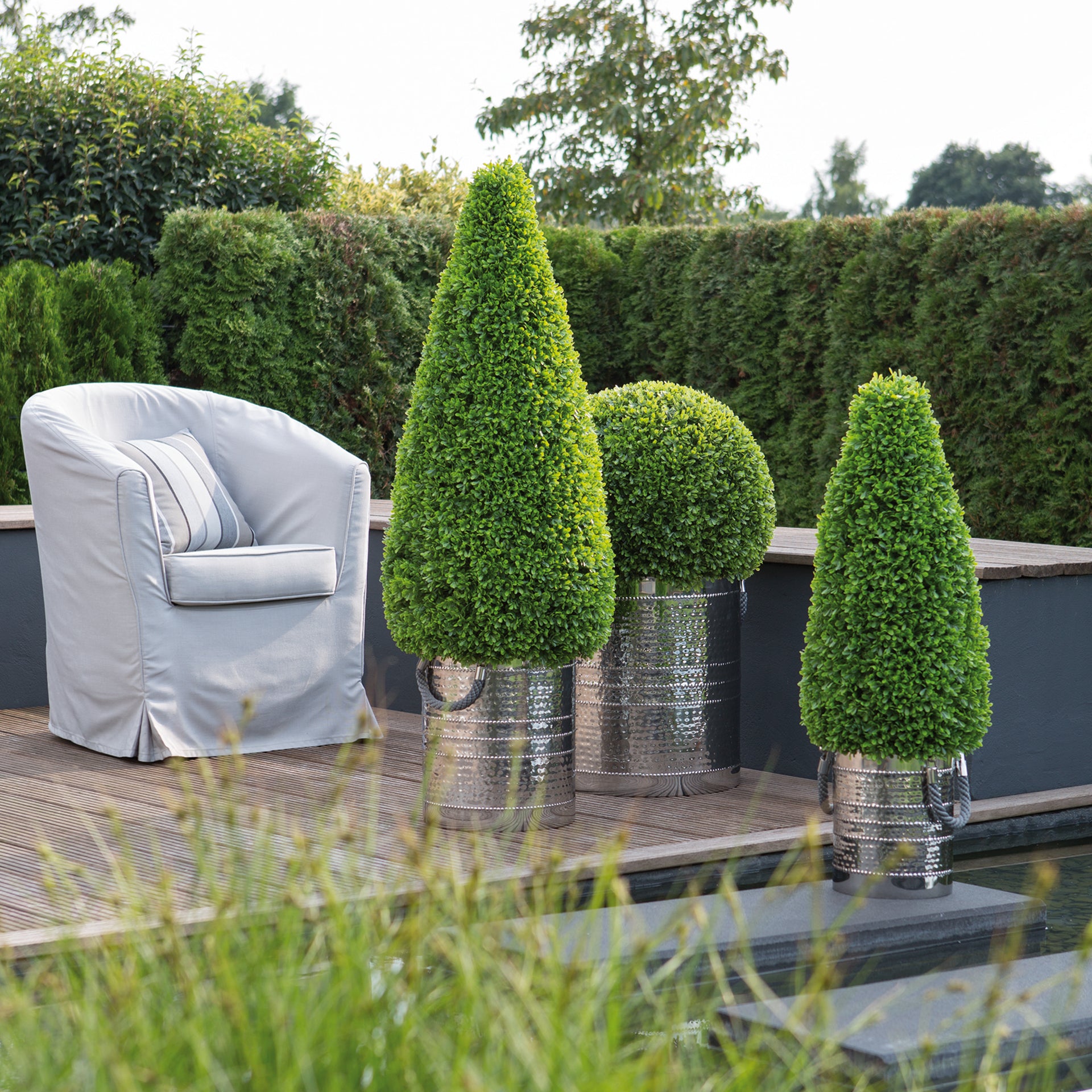 KEGEL Buchsbaum grün