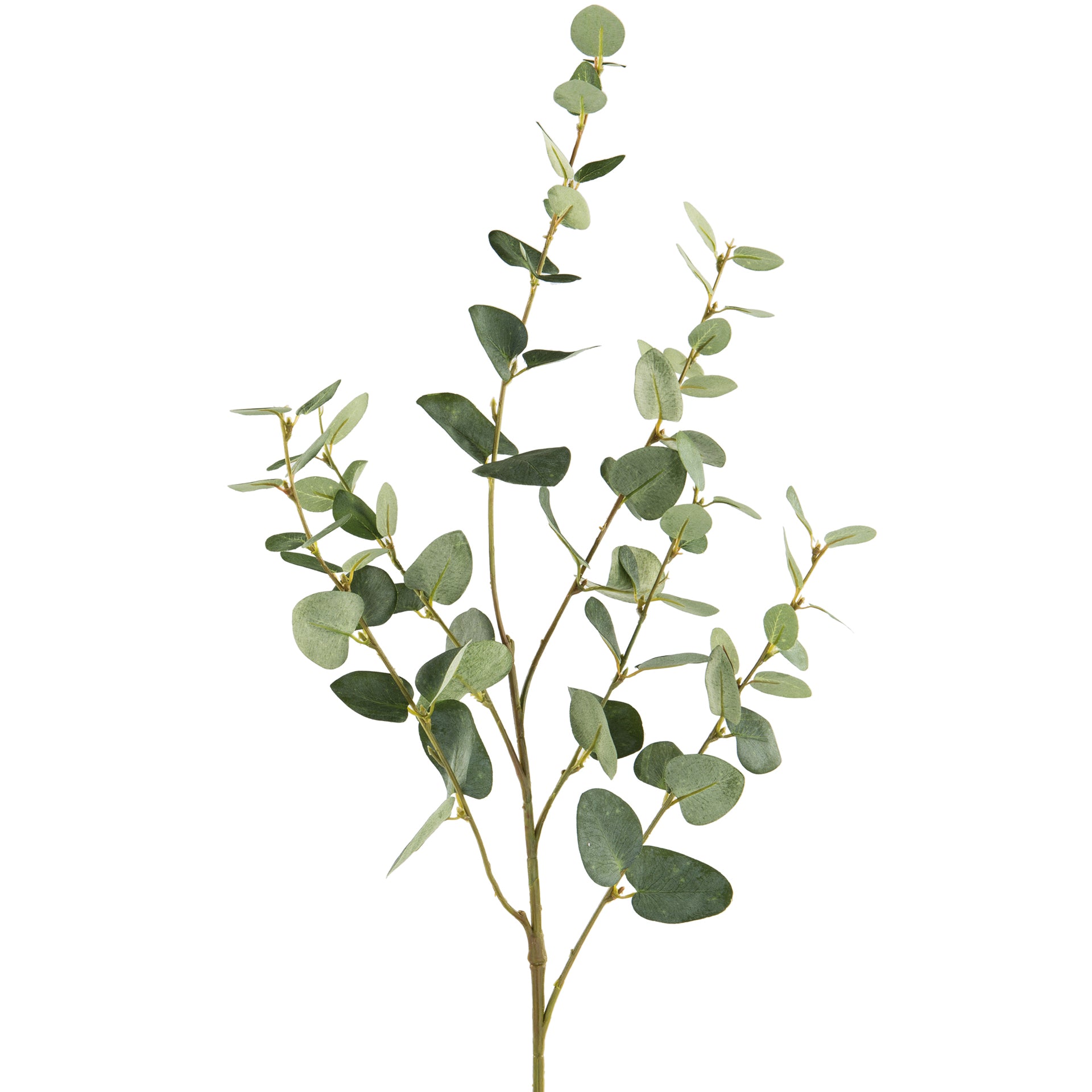 EUKALYPTUSZWEIG Kunstblume grün